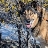 Entry image for Neytan