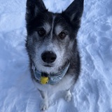 Entry image for Laguna