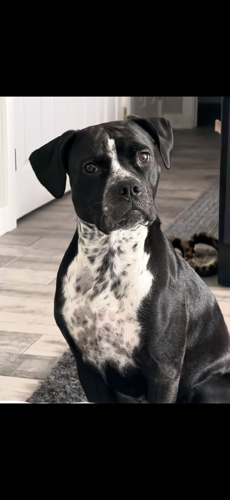 Entry image for Tessa. Clicking this image will show a larger photo