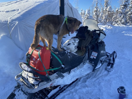 Entry image for Huan. Clicking this image will show a larger photo