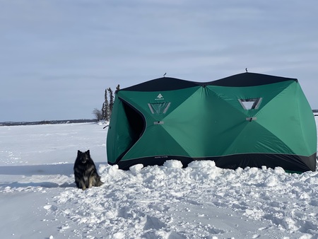 Entry image for Jessy. Clicking this image will show a larger photo