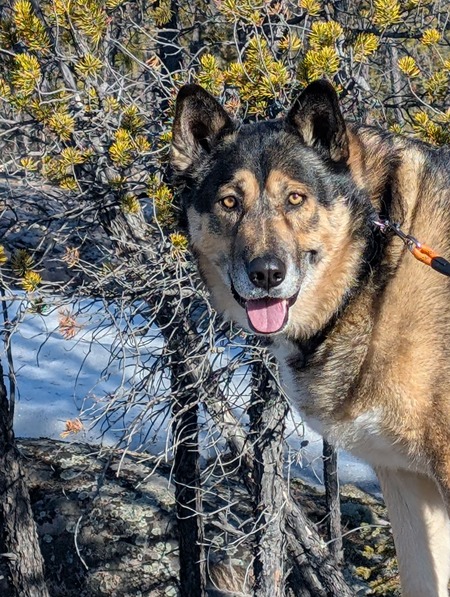 Entry image for Neytan. Clicking this image will show a larger photo