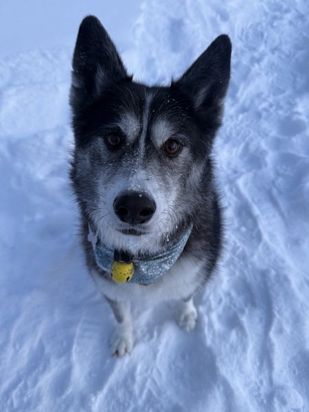 Entry image for Laguna. Clicking this image will show a larger photo