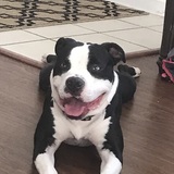 Entry image for Bruce