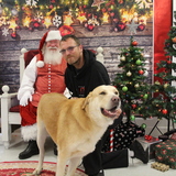 Entry image for Otis