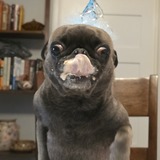 Entry image for Ruth