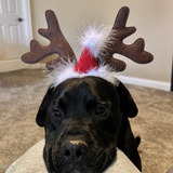 Entry image for Jeff