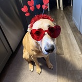 Entry image for Barbara