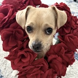 Entry image for Bubbles 