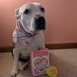 Entry image for Letty