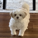 Entry image for Liam