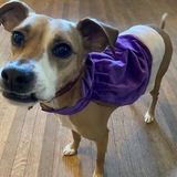 Entry image for Jefferson