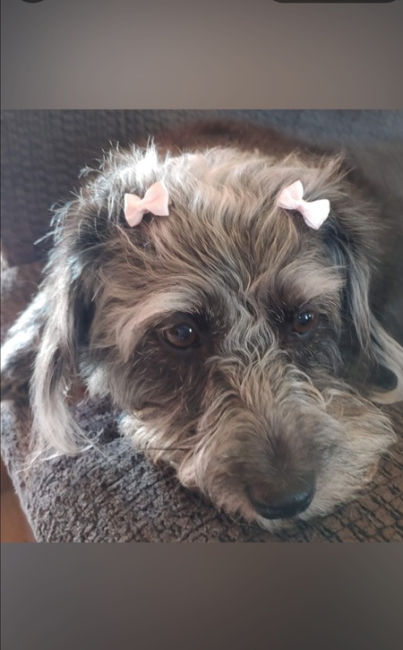 Entry image for Zoe. Clicking this image will show a larger photo