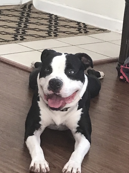 Entry image for Bruce. Clicking this image will show a larger photo