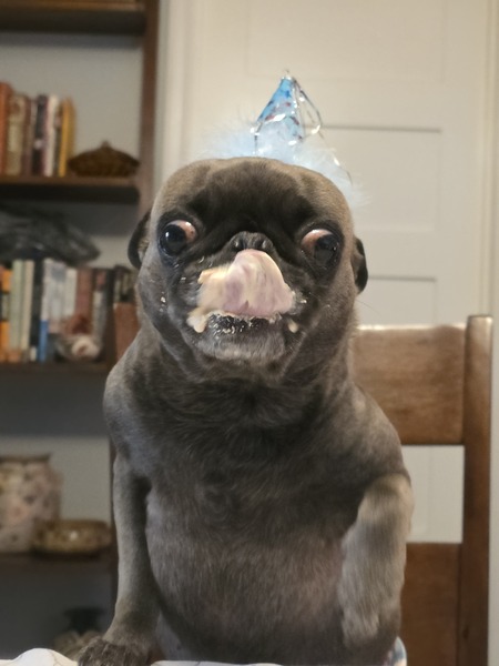 Entry image for Ruth. Clicking this image will show a larger photo