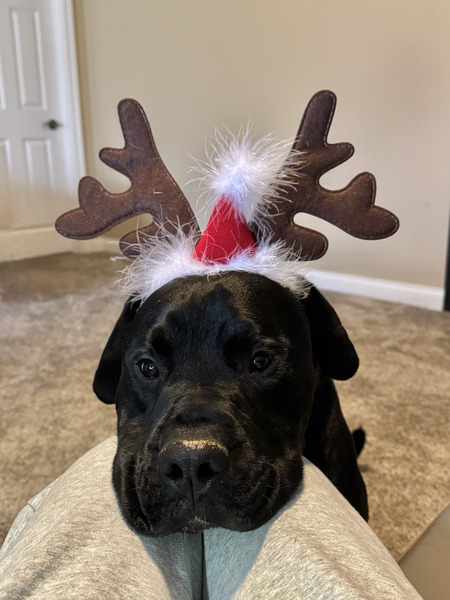 Entry image for Jeff. Clicking this image will show a larger photo