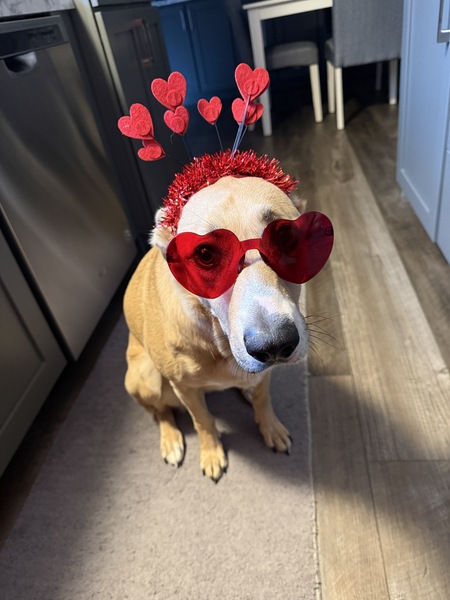 Entry image for Barbara. Clicking this image will show a larger photo