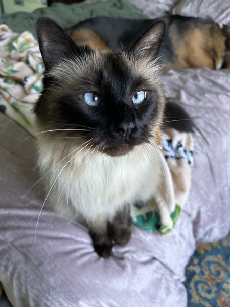 Entry image for Navy. Clicking this image will show a larger photo