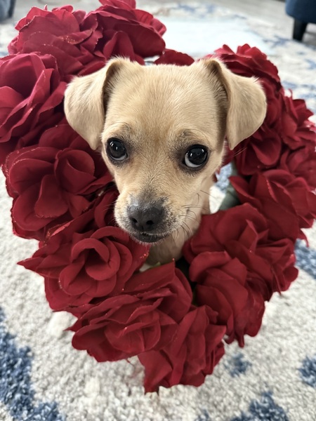 Entry image for Bubbles . Clicking this image will show a larger photo