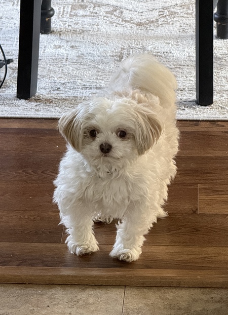 Entry image for Liam. Clicking this image will show a larger photo