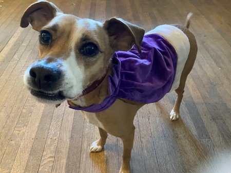 Entry image for Jefferson. Clicking this image will show a larger photo