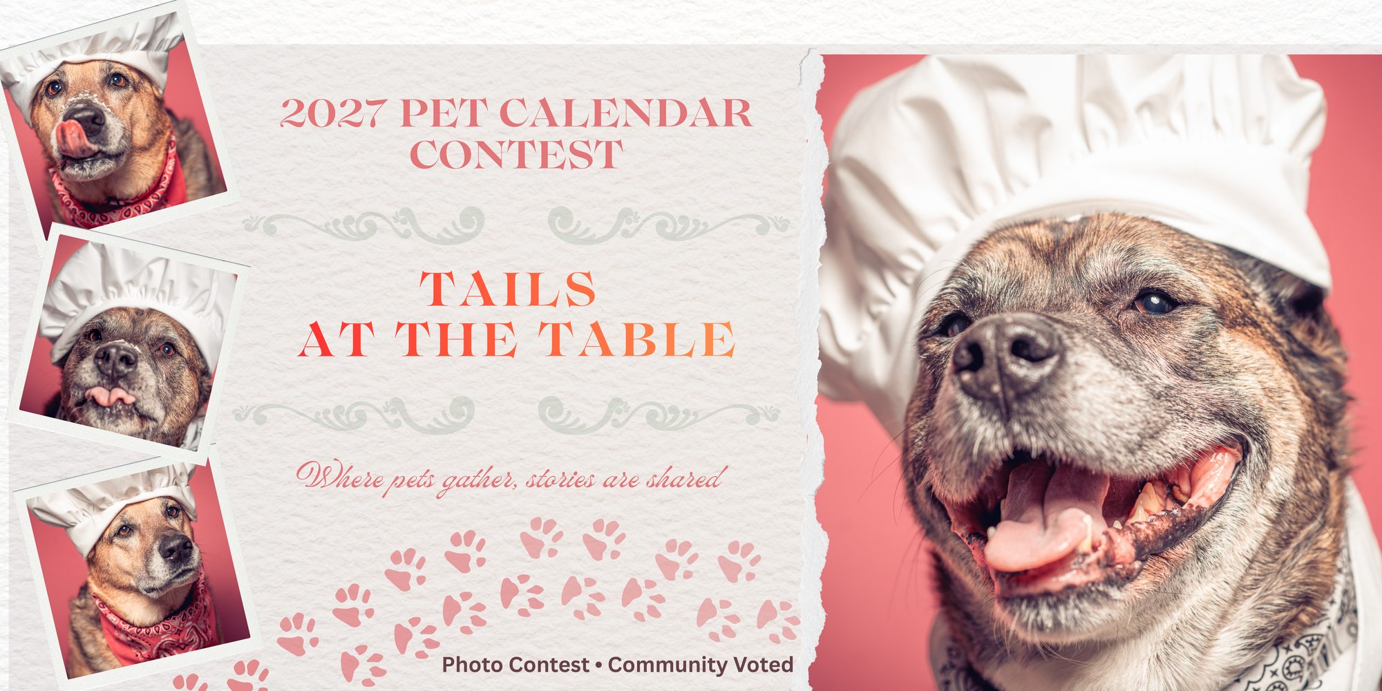 Banner for Tails at the Table