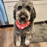 Entry image for Boone