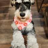 Entry image for Slash