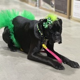 Entry image for Lexi May