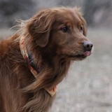 Entry image for Memphis