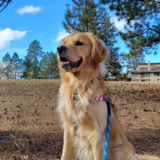 Entry image for Atlas