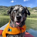 Entry image for Maverick