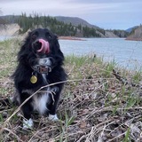 Entry image for Roper J Monson