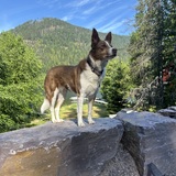 Entry image for Penny