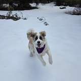 Entry image for Bergeron Unicorn