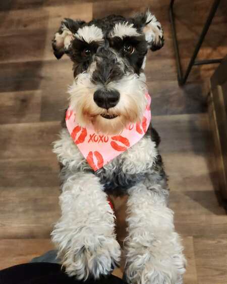 Entry image for Slash. Clicking this image will show a larger photo