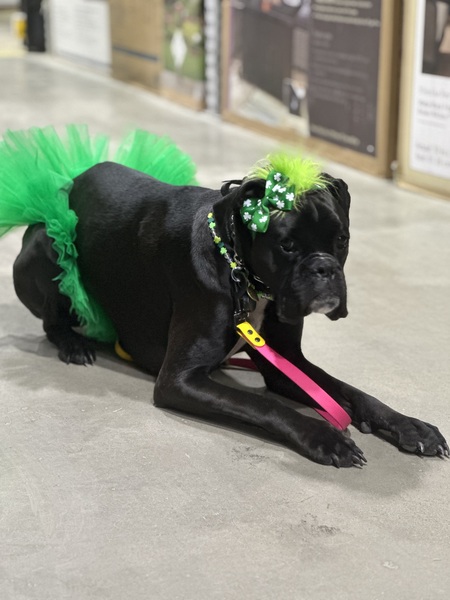 Entry image for Lexi May. Clicking this image will show a larger photo