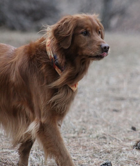 Entry image for Memphis. Clicking this image will show a larger photo