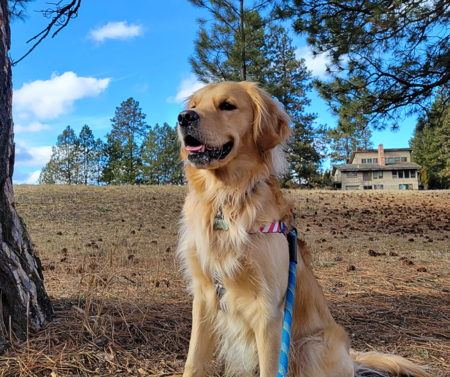 Entry image for Atlas. Clicking this image will show a larger photo