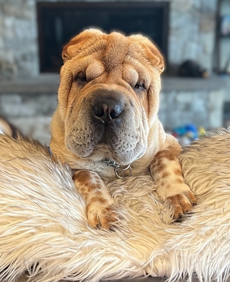 Entry image for Ali. Clicking this image will show a larger photo