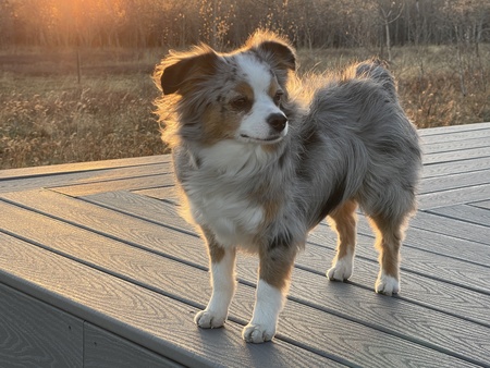 Entry image for Maeve. Clicking this image will show a larger photo