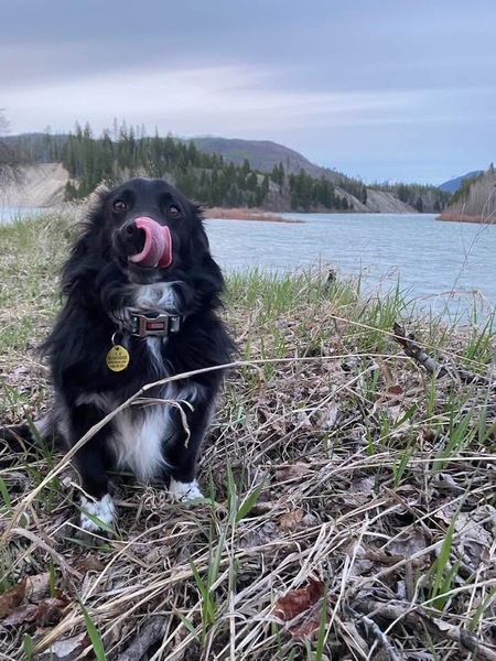 Entry image for Roper J Monson. Clicking this image will show a larger photo