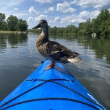 Entry image for Let’s Go!! 