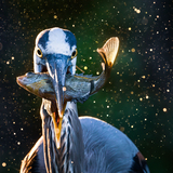 Entry image for Fresh Catch