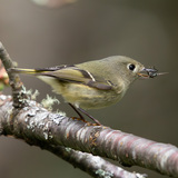 Entry image for Catch of the Day