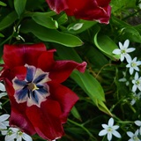 Entry image for Finders 