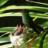 Entry image for Missed You