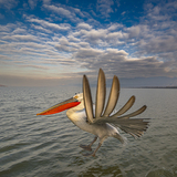 Entry image for Close Flight