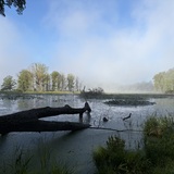 Entry image for Early Morning