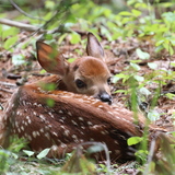 Entry image for You don't see me